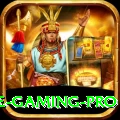1ee - Gaming Pro
