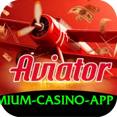 8881 Premium Casino App - 2