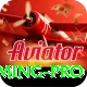 betpro - Gaming Pro