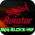 wasim - Slots VIP